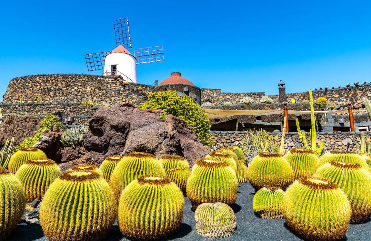 Casa Ballena Punta Mujeres Bagian luar foto